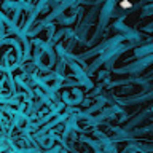 Meet your Posher, Alina